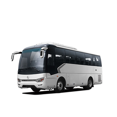 황금용 디젤 엔진 호화 대형 버스 220 HP 8m 10 - 34대 자리 팀 관광 버스